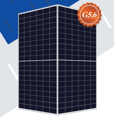 Risen Energy 210 Series Single-glass Monocrystalline Photovoltaic Modules 