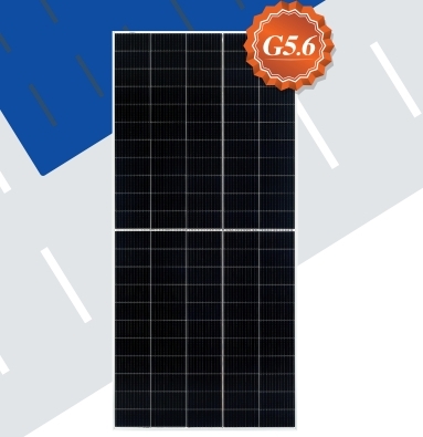 Risen Energy 210 Series Single-glass Monocrystalline Photovoltaic Modules 